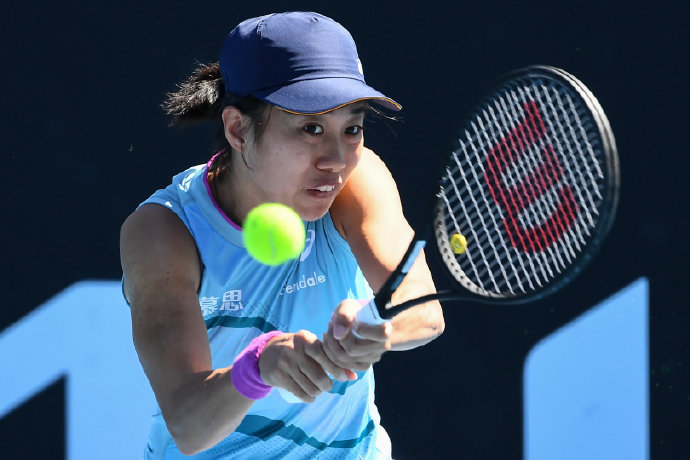 维特观点的 维特观点的